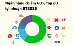 20 doanh nghiệp niêm yết lãi lớn nhất 6T2025: 60% là ngân hàng, 15% là bất động sản, chỉ có 1 DN sản xuất